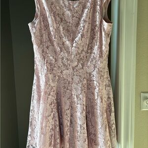 NWOT Danny & Nicole Blush Lace Dress Sz 18